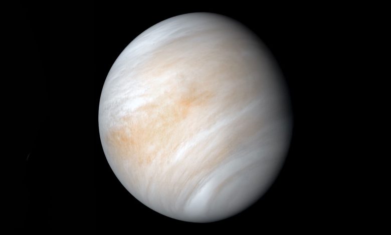 venus